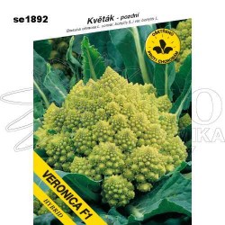 Květák  Romanesco